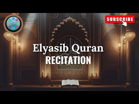 The Protection You Need