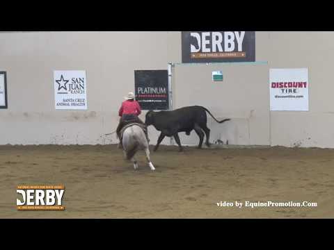 White Knight Time ridden by Anne M. Albert  - 2016 NRCHA Derby (Prelims - Cow Work Run-Off NP Ltd.)