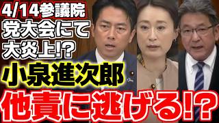 【小泉進次郎】【杉尾秀哉】【田島麻衣子】【榛葉賀津也】【赤沢亮正】自民党大会にて違法指摘の大炎上!!自衛隊責任者として小泉大臣が答弁に立つ!!【自民党】【立憲民主党】【国民民主党】【参議院】"