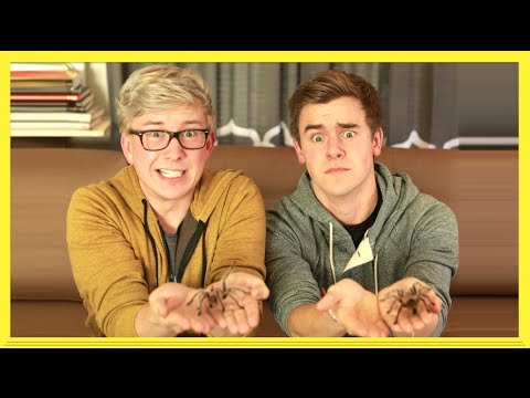 タランチュラチャレンジ (The Tarantula Challenge (ft. Connor Franta) | Tyler Oakley)