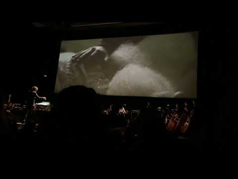 Harry Potter and the Half Blood Prince in concert - Dumbledore's Farewell