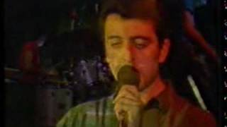 Los Burros . Portugal. Estoc De Pop.avi