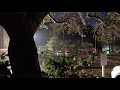 Som De Chuva Som De Chuva Para Dormir Sem Trovoada Chuva Na Noite ASMR