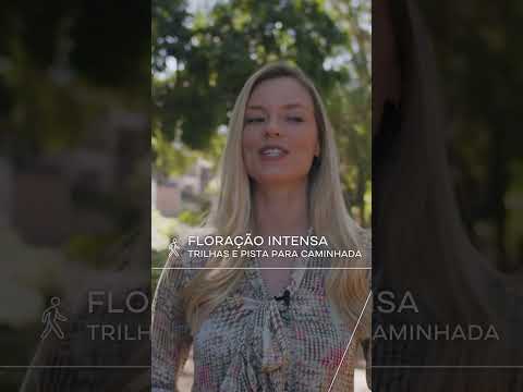 Vídeo