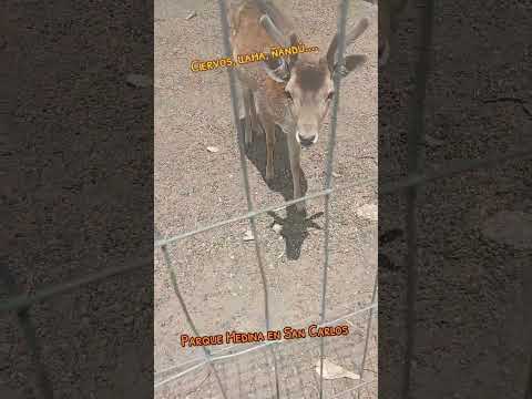 Parque Medina de San Carlos en Maldonado Uruguay