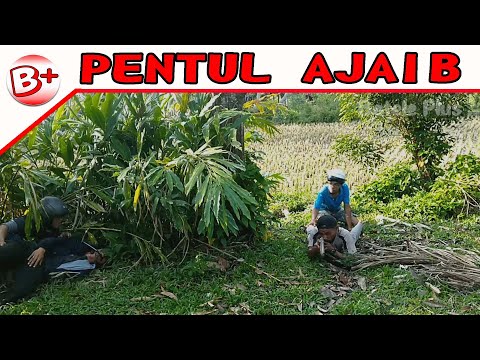 salah-tuduh-teman-lawak-minang-komedi-minang-lucu