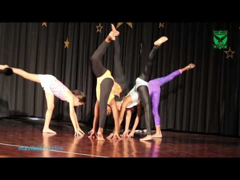 Berea Primary School - Talented Gymnasts