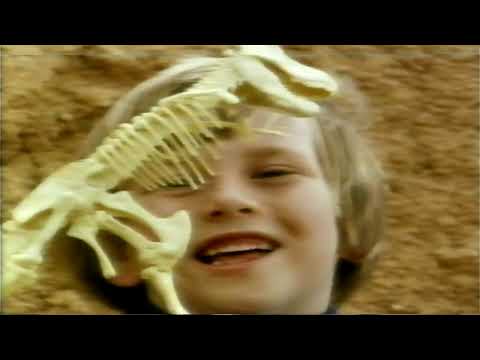 The Mike Willesee Show - Australian TV Channel 9 (1981)