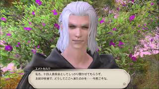 【FF14】パッチ6.0記録４(Lv87～88)