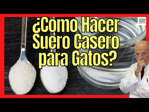 🐱 HOW TO GIVE AND MAKE A HOMEMADE ORAL SERUM FOR DEHYDRATED CATS? 🐱