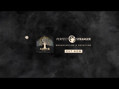 Perfect Stranger & Dickster  - Quantum Physics at Dicks Attic (Perfect Stranger Remix)