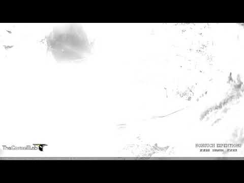 Nest Check, May 3, 2018 | Bermuda Cahow Cam