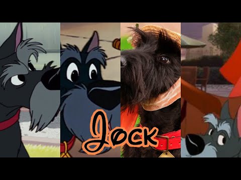 Jock (Lady And The Tramp) | Evolution In Movies & TV (1955 - 2023)