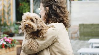 Gamma Skies - Every Song (Pop music)