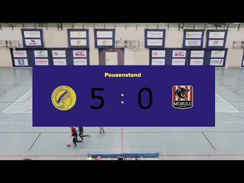 Playoff Halbfinale Minerva - Mobulu