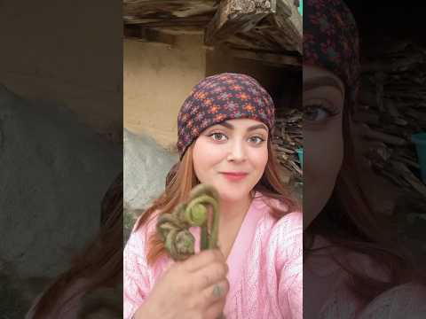 Ligri Khayi hai kabhi? 😍♥️🙈 #himalayas #lingri #daizyaizy #lifestyle #moutain