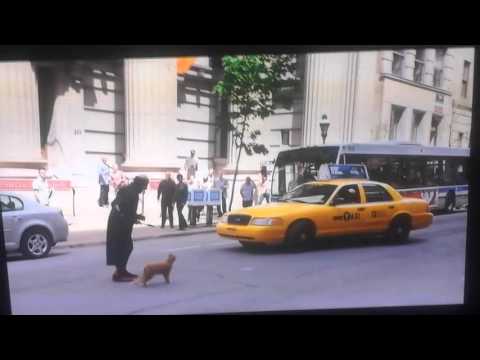 Smurf 2 gargemel gets sqaush by taxi