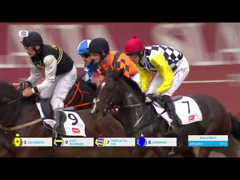 12. 10. 2025 - 1. dostih - Cena společnosti VCES a.s. - Cena Laty Brandisové