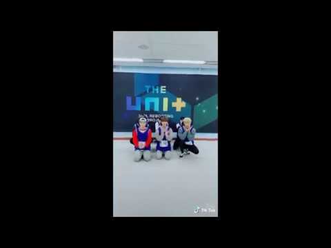 THE UNIT (더 유닛) Team Blue, Black, Red, White - TIKTOK STORY
