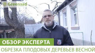 Как и почему нужно обрезать плодовые деревья - Видео онлайн