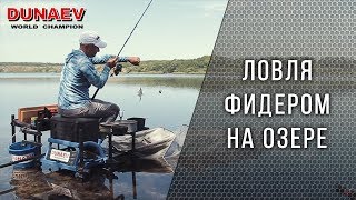 Фидер на озере