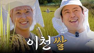쌀 수확하고 밥 여섯공기 먹었어여 [이선민 & 유영우] | 수확행2 EP4
