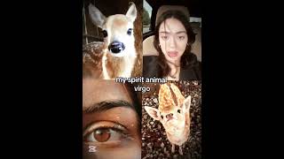 Download lagu what's your spirit animal according to your zodiac months 💫💅✨🤌🤔 mp3