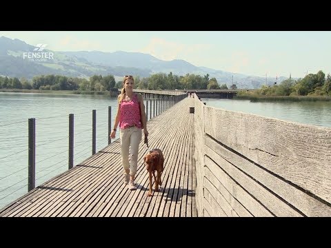 Pilgern - Weg aus der Hektik  (ganze Sendung) - FENSTER ZUM SONNTAG Magazin, ALPHAVISION ( AV 597)