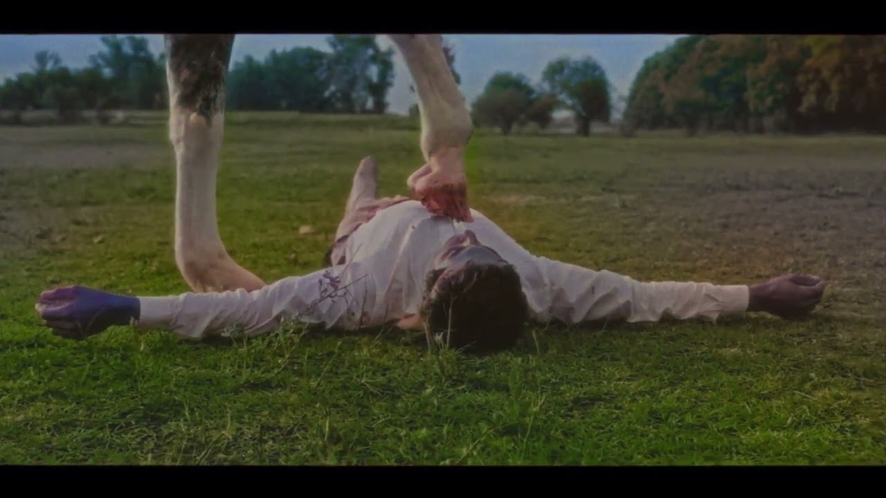 Academy Award Winner directs video for The Horse