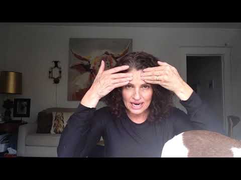 How to give your dog a physical for future and present wellness.