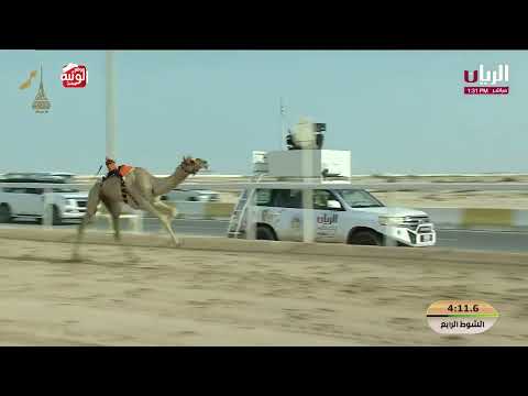 ش 4 (الباز) الشيخ علي بن خليفة بن سعود آل ثاني 5:59:32 , مهرجان المؤسس 2025/12/13 حقايق الشحانية