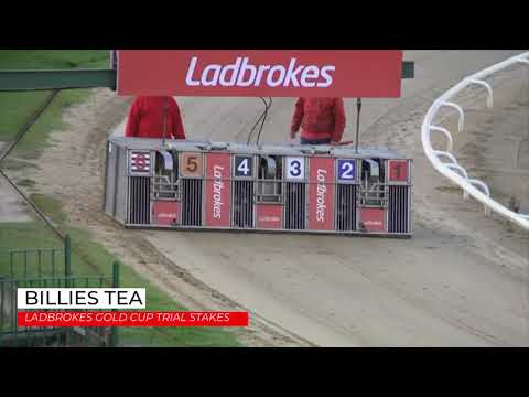 Billies Tea - Ladbrokes Gold Cup Trial Stakes