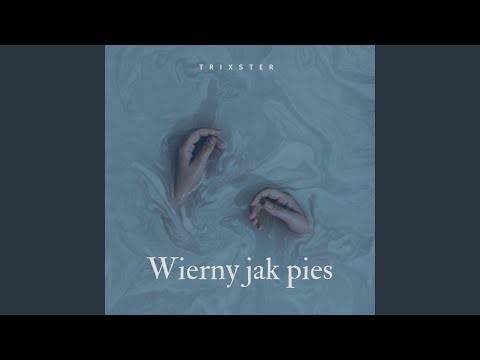 Wierny jak pies