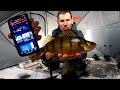 Video Thumbnail for Crushing Perch in a Polar Vortex