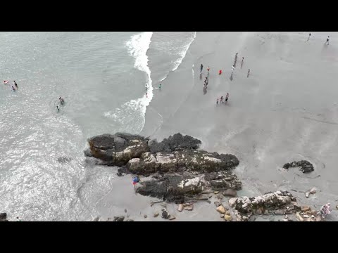 Ocean Waves Relaxation every Hours | Soothing Waves Crashing on Beach