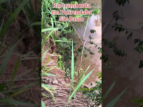 Rio Cubatão bufando de cheio com as chuvas,Potirendaba São Paulo 🙏🙏