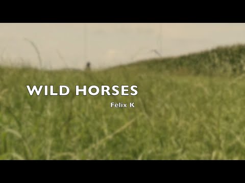 FELIX K - Wild Horses [Rolling Stones Cover] - in Memoriam of Charlie Watts
