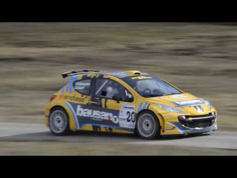 12° Rally Ronde del Canavese 2017 - Show & Pure Sound