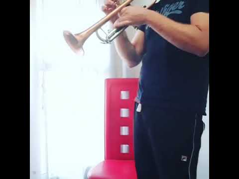 ALL ABOUT THAT BASS - TROMPETA COVER - SERGIO PEREZ