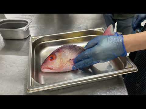 Preparation of Salted Crusted and Carpaccio Octopus by Turkish chef Mr Firat.