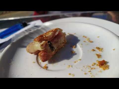 Una invitada inesperada