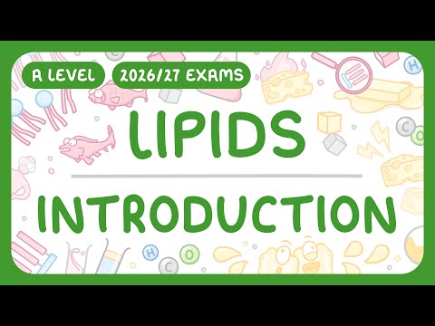 A-Level Biology - Lipids: Introduction - Structure | Functions | Tests (2026/27 exams)