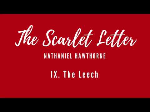 Scarlet Letter - Chapter 9 [Audiobook]