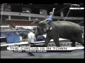 Elizabeth MacFarland Joins The Shrine Circus For The Day