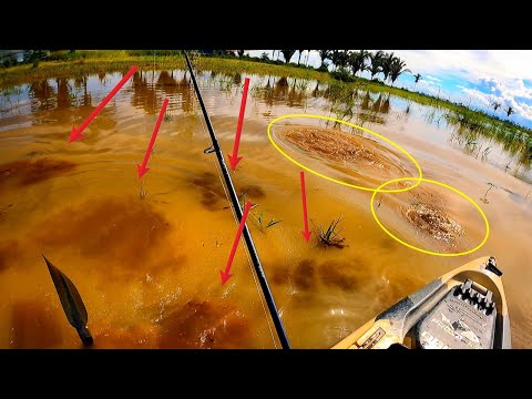 I don't know whose fault it was, I only know that the underwear paid the price... Fishing trip!