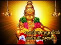 Kadinu Naduvilorambalamunde
