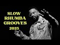 Slow Rhumba Grooves Mix VOL 1 2025 Ft Fally Ipupa Ferre Gola Madillu System Koffi Olomide
