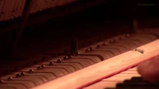 The Scarlatti Book: live at Le Triton (AKA 466)