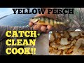 YELLOW PERCH! CATCH, CLEAN, COOK!!