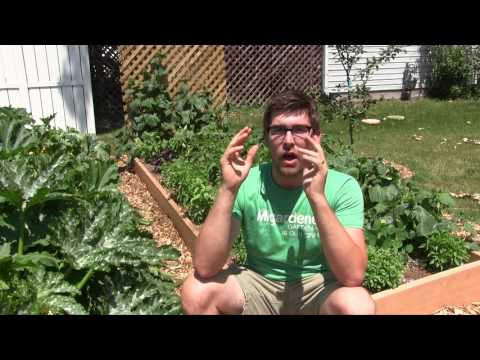 download lagu mp3 mp4 How To Keep A Garden, download lagu How To Keep A Garden gratis, unduh video klip How To Keep A Garden